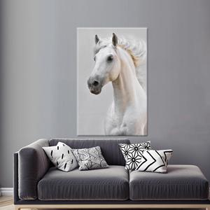 Elegante Lienzo Impreso: Decoración Moderna de Pared con Diseño Animal, Lienzo Enrollado - Product Image 1