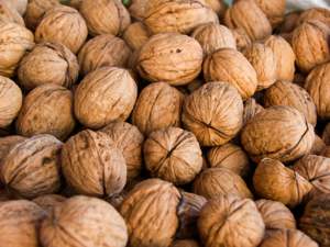 Noix de bonne qualité à vendre/Vente en gros de noix en vrac de bonne qualité 100% naturelles et saines à vendre - Product Image 6