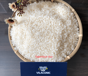 Viet Nam Fresh Organic 4-6mm Hard Texture White Japonica Long <b>Grain</b> Rice 2026 Crop Vilaconic Brand 5% Broken - Product Image 1