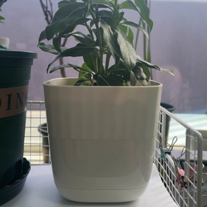 Venta al por mayor eco-amigable personalizable clásico plástico cilindro macetas bandeja para el hogar jardín especializado ventana piso flores - Product Image 3