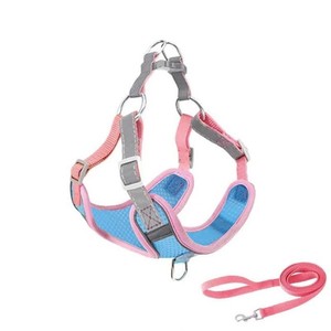 Ensemble de colliers pour chiens de petite taille, en nylon et polyester, imprimé, style classique moderne simple, doux et confortable, nœud papillon, toutes saisons - Product Image 1