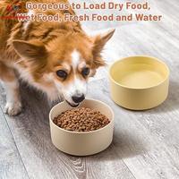 Bol pour animaux de compagnie en plastique de qualité alimentaire, écologique, non toxique, durable, personnalisé par OEM, petit, arrondi, distributeur d'eau, antidérapant, voyage, chat, chien, multi