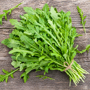 Poudre de feuilles de rucula et de roquette pure OEM |   Chlorophylle de qualité alimentaire en vrac, extraite par solvant, 60% de chlorophylle artificielle, pour toutes les saisons - Product Image 5