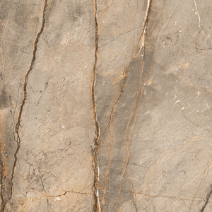 Carreaux de sol en porcelaine émaillée, design très populaire, fabrication en Inde pour salle de bain et maison. - Product Image 3