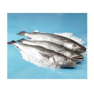 Poisson de mer congelé, morue, HGT / Poisson entier à vendre - Product Image 1