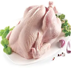 Vente en gros de poulet congelé bon marché de haute qualité Prix bas du poulet entier congelé halal du Brésil et parties de poulet entier congelé