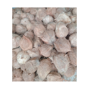 Noix de coco mûre à viande dense-Noix de coco mature pour la fabrication alimentaire-Parfait pour le stockage à long terme et l'utilisation en cuisine - Product Image 2