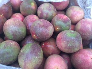 Fruta de la Pasión fresca del mercado de la UE de alta calidad 11 pcs/kg 2 kg/caja también disponible - Product Image 4