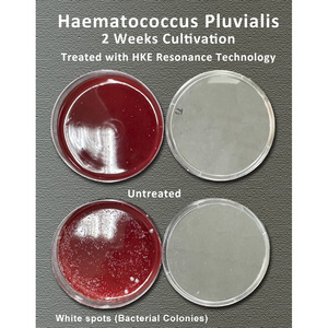 AquaHex Tecnología avanzada de resonancia física Generador de agua hexagonal Suministros de laboratorio OEM de acción prolongada - Product Image 5