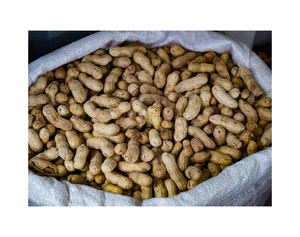 ถั่วลิสงจาวาลวกต่อตัน - Product Image 3