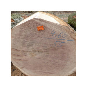 Leña de roble ESCÉNICA/Troncos de leña Precio barato venta de troncos de roble blanco leña otros productos relacionados con la energía - Product Image 6