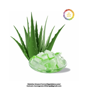 ชิ้นว่านหางจระเข้แช่แข็งสะอาดและอุดมไปด้วยสารอาหารที่เหมาะสำหรับสมูทตี้เครื่องดื่มเพื่อสุขภาพและการใช้ผลิตภัณฑ์ความงาม - Product Image 6