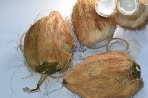 Poudre de noix de coco biologique - Product Image 5