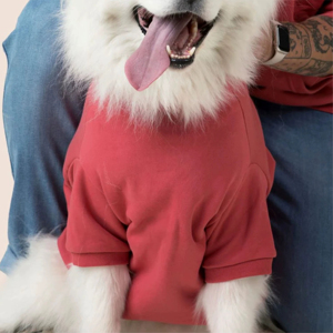 Sudadera con capucha para perro con etiqueta personalizada de Color sólido con bonitos sudaderas con capucha para perros de invierno de buena calidad, venta al por mayor, fabricación de moda, sudaderas con capucha para perros - Product Image 5