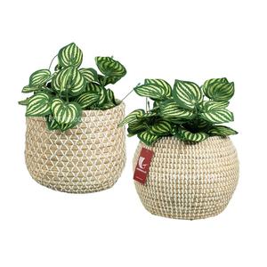 Decorative <b>Seagrass</b> Woven <b>Basket</b>, Eco-Friendly Multifunction Decorative Rectangle Organizer for Home, <b>Laundry</b> and Plant Use - Product Image 5