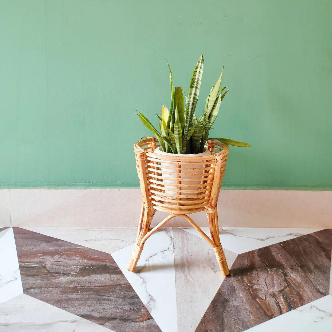 ธรรมชาติ