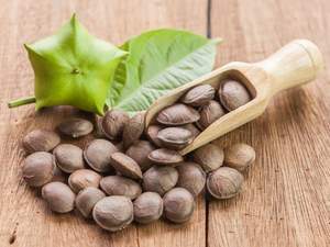 ถั่วซาช่าอินชีอบแห้งขายดี ถั่วอบแห้งอินคา ถั่วซาช่าอินชีสีขาวจากเวียดนาม AKINA - Product Image 4