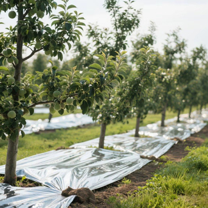 Produsen Orchard <span class=keywords><strong>Film</strong></span> reflektif untuk Apple Cherry campur-produk plastik pertanian