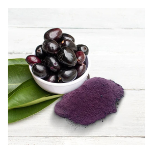 Poudre de Jamun séchée par pulvérisation de qualité supérieure, 100 % naturelle, de qualité alimentaire, riche en saveur sucrée, pour les boissons, les desserts, Herbojit International - Product Image 1