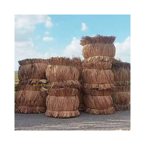 Fibre de jacinthe d'eau brute, matériau naturel pour la fabrication artisanale de paniers et d'objets artisanaux - Product Image 4