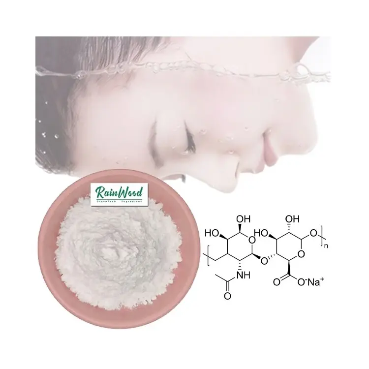 Bán buôn tinh khiết mỹ phẩm lớp sodium hyaluronate tinh khiết hyaluronic bột acid