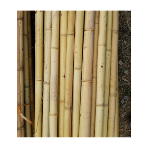 Estacas de bambú de longitud múltiple o poste de caña de bambú Precio barato Proveedor de Vietnam Poste de bambú con varios tamaños - Product Image 1