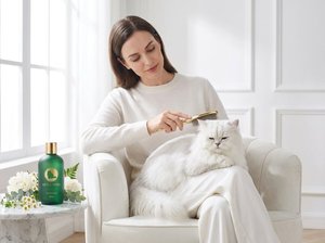 Shampoo pour chat à poils longs VELVETPAW Premium & Shampooing + Après-shampoing 2-en-1 Extrait de camomille Formule soie Pour chats persans et Maine Coon - Product Image 6