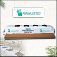 Sacs de culture en cocopeat Kopeat Coco Fraise 20L de haute qualité 100% pour jardinage hydroponique toutes saisons en serre, intérieur noir