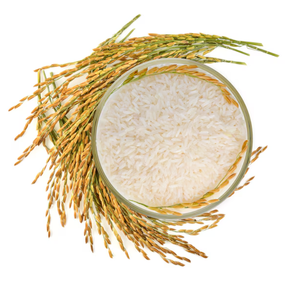 Venta al por mayor Patrón medio DK Origen Arborio Arroz Grano largo Estilo de alimentos secos 24 meses Vida útil para la venta - Product Image 1
