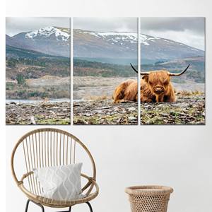 Impresión en lienzo de vaca de las Tierras Altas: elegante decoración rústica con opción de vidrio templado, lienzo enrollado en 3 capas - Product Image 1