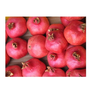 Distribuidor mayorista y proveedor de granadas frescas de la mejor calidad a precio competitivo, el mejor precio de calidad, compra a granel en línea - Product Image 2