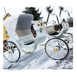 Carruaje de turismo de lujo victoriano blanco Carruaje de Turismo de princesa blanca a la venta Boda real Últimos carros victorianos - Product Image 1