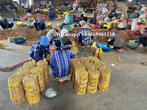 Bâtonnets de cannelle et de cassia séchés, entièrement certifiés, nouvelle récolte, mélange AD, origine Vietnam - Product Image 6