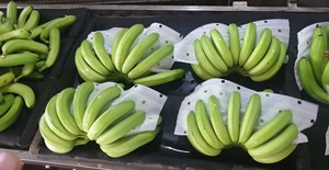 Sabor dulce orgánico al por mayor, plátano verde - Product Image 4