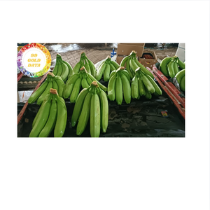 Fresh banana tropical fruit authentic from Vietnam perfect for smoothies salad dessert topping and large <b>scale</b> distribution - Product Image 3