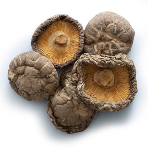 CHAMPIGNONS SHIITAKE FRAIS/PARFAIT POUR LA CUISINE GOURMANDE/FABRIQUÉ AU VIETNAM - Product Image 2