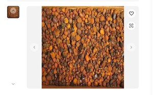 Cálculos biliares de vaca/buey/ganado en venta - Product Image 6