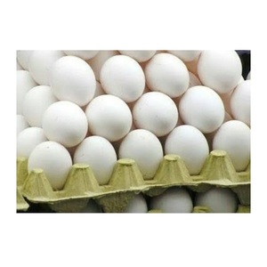 Œufs de poule frais de table, coquille blanche/marron, qualité supérieure, vente en gros à prix avantageux - Product Image 2