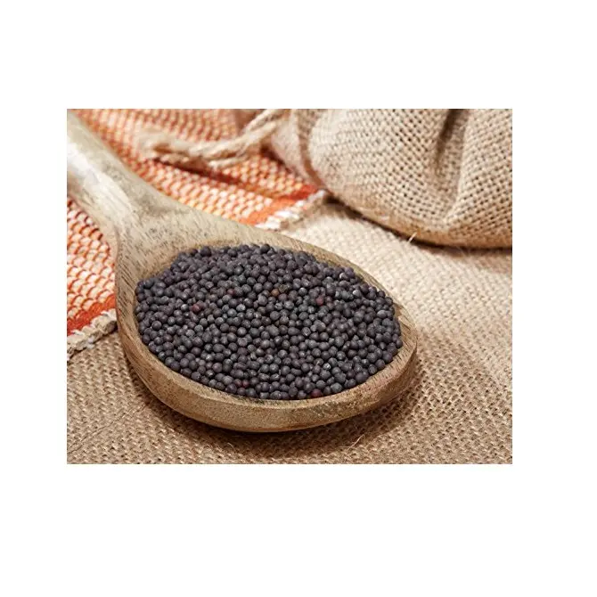 Super Selling Black Mustard Herbs and Spice Organic Spice from Indian Exporter at Bulk Price for export