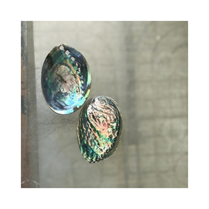 Coquille d'ormeau en grande quantité pour une décoration intérieure unique du Vietnam pour l'exportation - Product Image 1