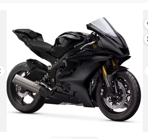 Motocicleta de carreras R6R7R1 de edición limitada, 6 velocidades, 117 caballos de fuerza, potencia sin escobillas - Product Image 1