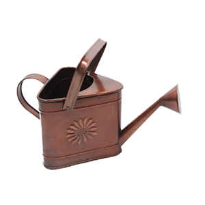 Arrosoir galvanisé de nouvelle conception pour la maison et le jardin avec le bidon d'eau de finition personnalisé - Product Image 2