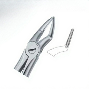 Pince d'extraction de dents Fig51 A Top Meilleure qualité Produits de logo personnalisé Instruments dentaires en acier inoxydable de haute qualité - Product Image 6