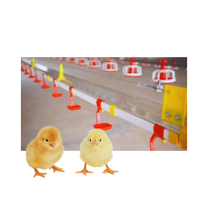 Equipo de ganado automático de alta tecnología Equipo de aves de corral de plástico de alta calidad con embalaje personalizado Fabricante de Vietnam - Product Image 6