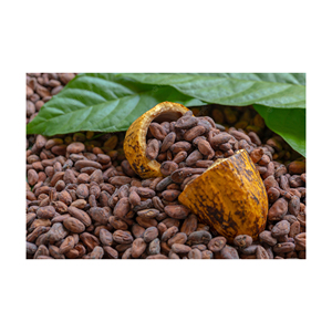 Granos de Cacao de Alta Calidad 100% Naturales - Product Image 3