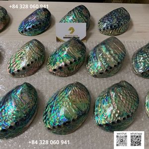 Conchas de abulón ovaladas modernas perladas, pulidas, iridiscentes, con efecto arcoíris, en paquete a granel para decoración de villas de lujo, arte y cuencos. - Product Image 2