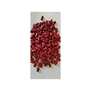 ถั่วแดงไตขายส่งจำนวนมาก - Product Image 3