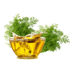 100% tinh khiết Hữu Cơ thì là lá dầu chất lượng tốt nhất tinh dầu cho da Xuất Khẩu toàn cầu từ Ấn Độ bán buôn Nhà cung cấp giá thị trường - Product Image 1