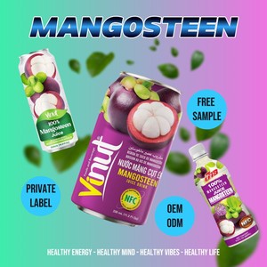 Muestra Gratuita - Bebida de 1 Litro de Jugo de Mangostán 100% Natural, Sin Azúcar Añadida - Venta al por Mayor Vietnam - Marca Blanca OEM - Product Image 6