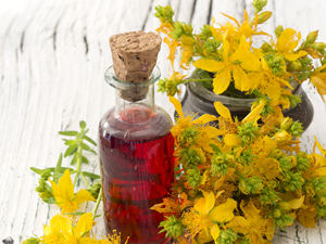 100% Pure St John's Wort Carrier Oil Olor natural y fresco Venta al por mayor Aceite a base de semillas 100% Pure Essential Oil Wholesale Carrier - Product Image 4